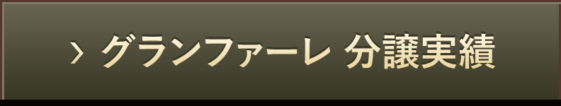 グランファーレ分譲実績