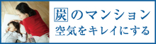 炭パワークリーンシステム