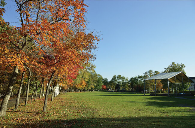 藻南公園